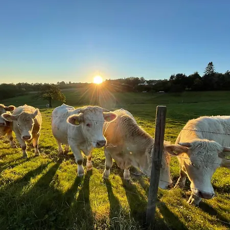 Апарт-отель Landhof Pau Mappershain