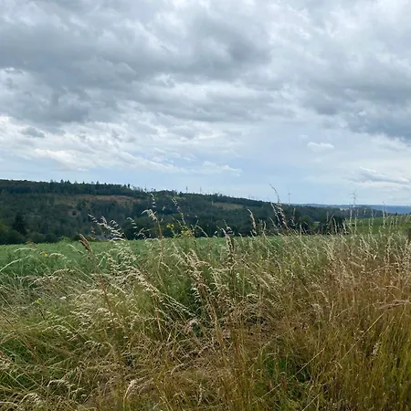 Апарт-отель Landhof Pau 4*