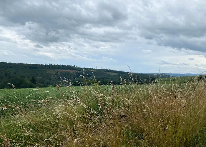 Aparthotel Landhof Pau 4*